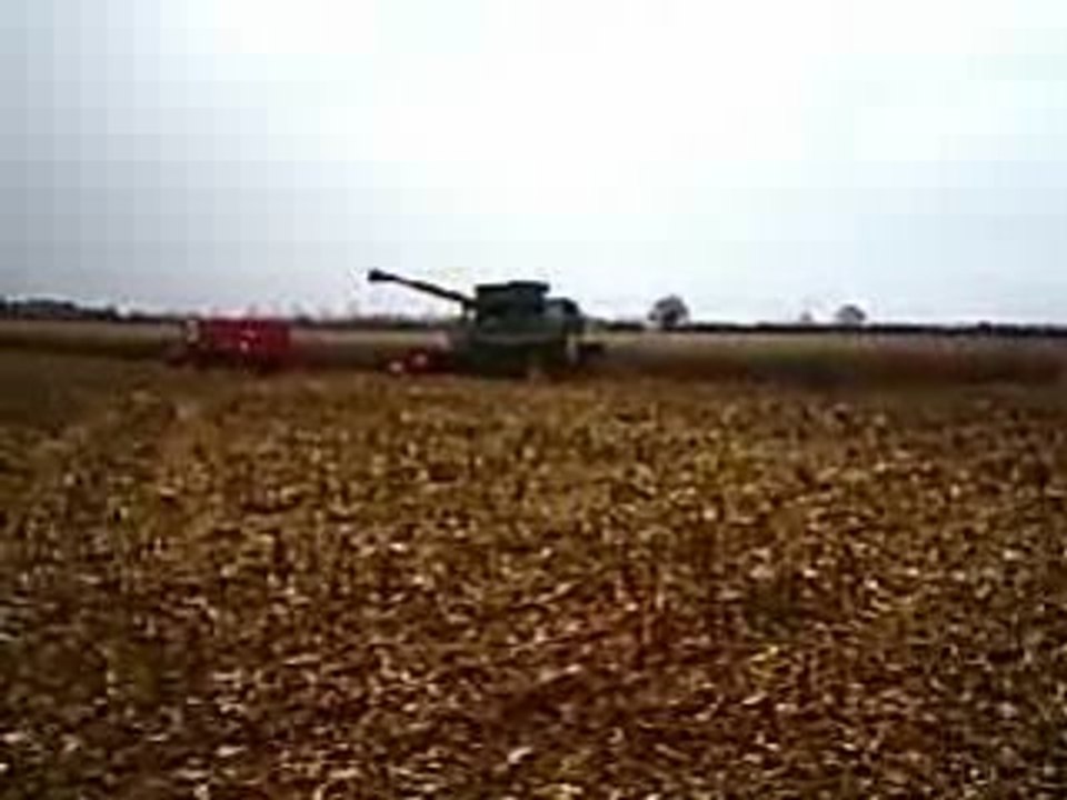 S4010086