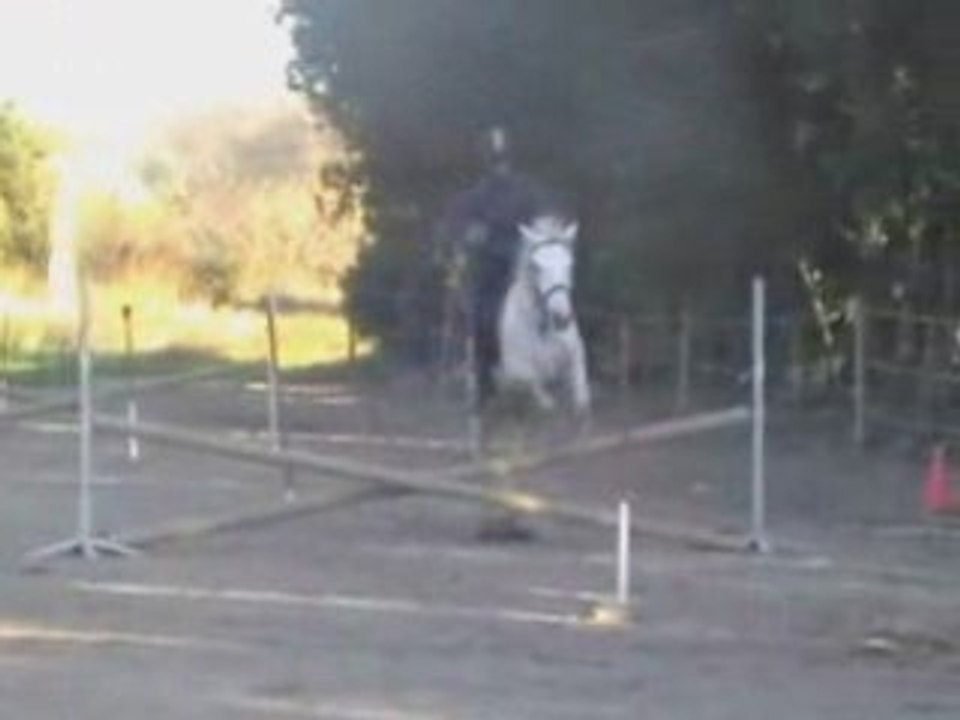 2 eme gros entrainement des we hope novembre 2008