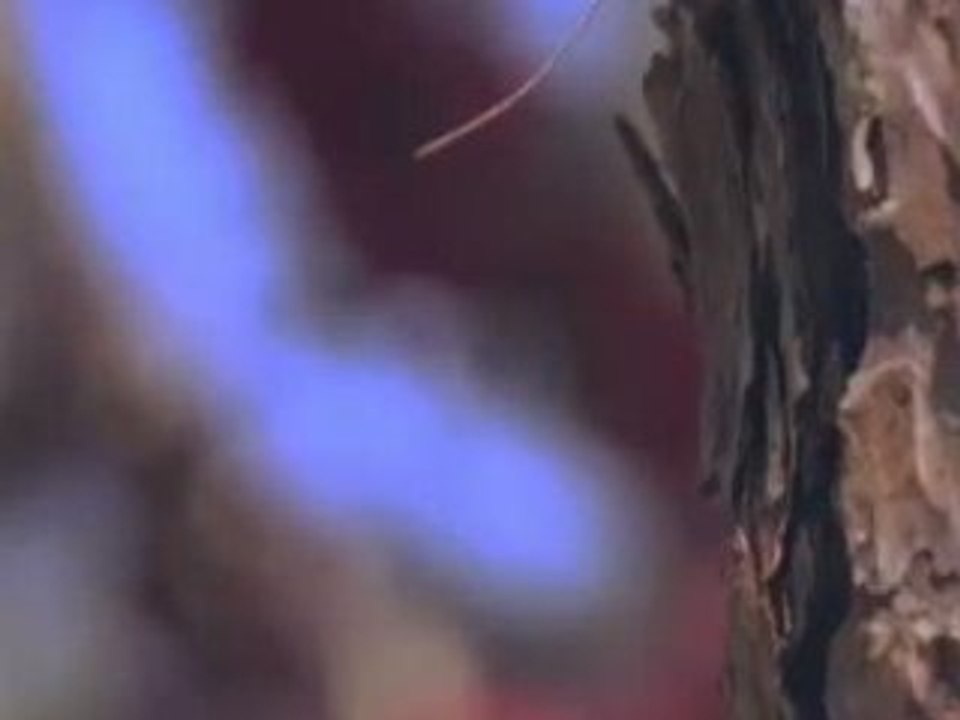 DIFFERENT CINEMA VOL. 3