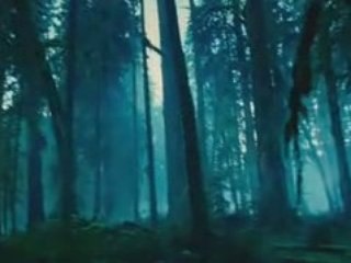 Twilight Scene  Bella Edward in the Forest