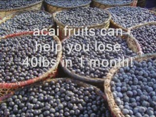 Acai Berry Fruits