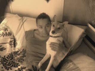 Calins chiens