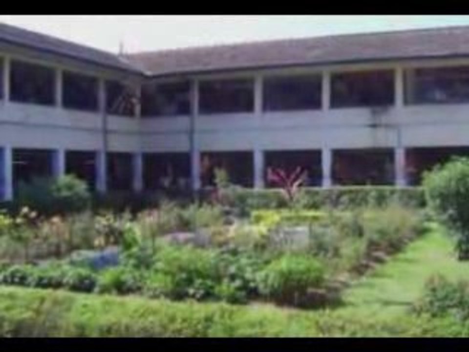 sri lanka song Mae Nagaraya
