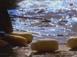 Les guerres des pharaons Part 1 (4 sur 4)