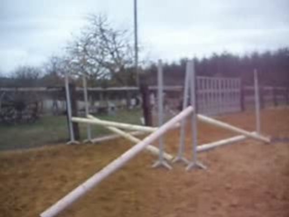 Stella obstacle
