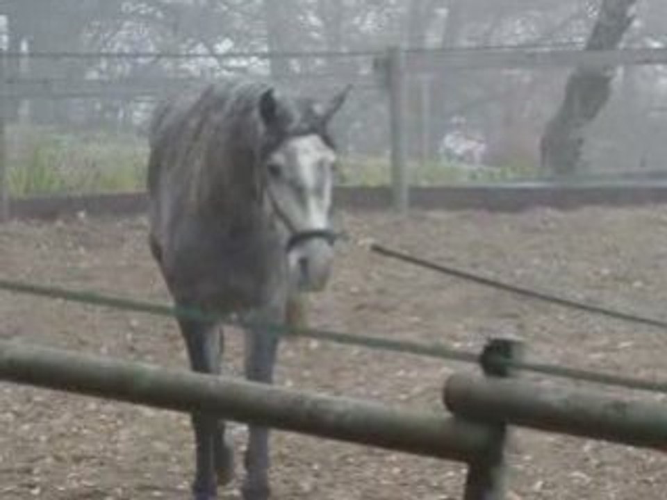 Quiero séance de longe