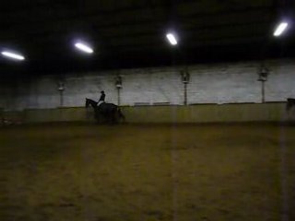 Loriot et Oryx