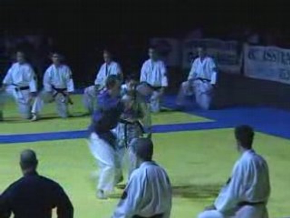 NIHON TAI JITSU