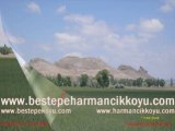 Sivas Beştepe Harmancık Köyü