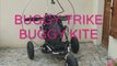 Buggy trike buggy kite