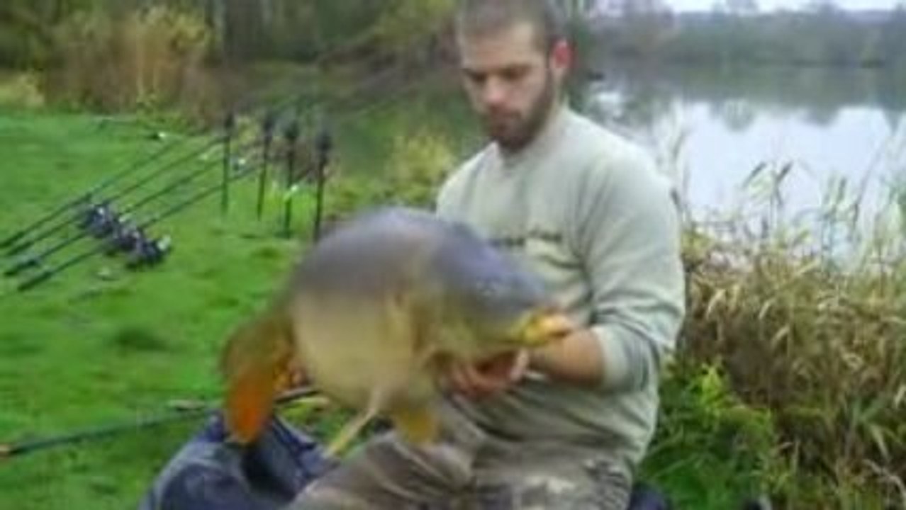 thomas 16kg