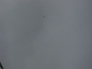 tolgahan oynak kelebek