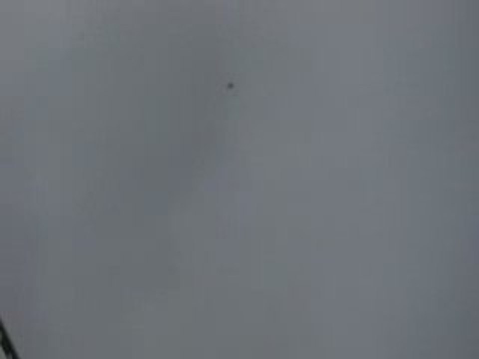 Tolgahan oynak kelebek