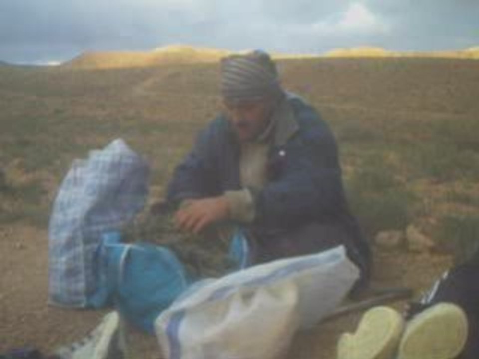 ben addel brahim2
