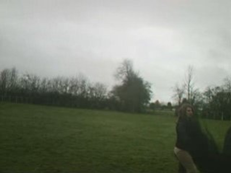 Seance a pied 16 nov. 2008