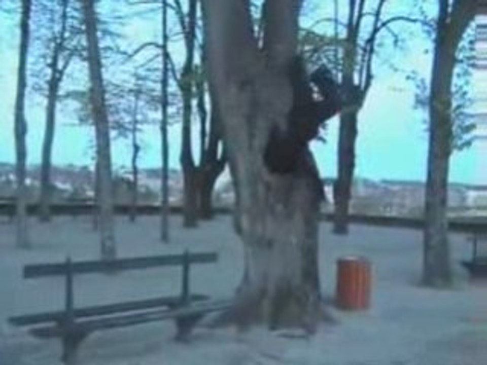 David Niasse Demo Nin-Ten No Te Ninjutsu saut 2008 JUNGLE