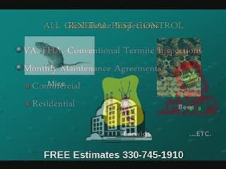 Control insects, termites & other pests in Akron Oh