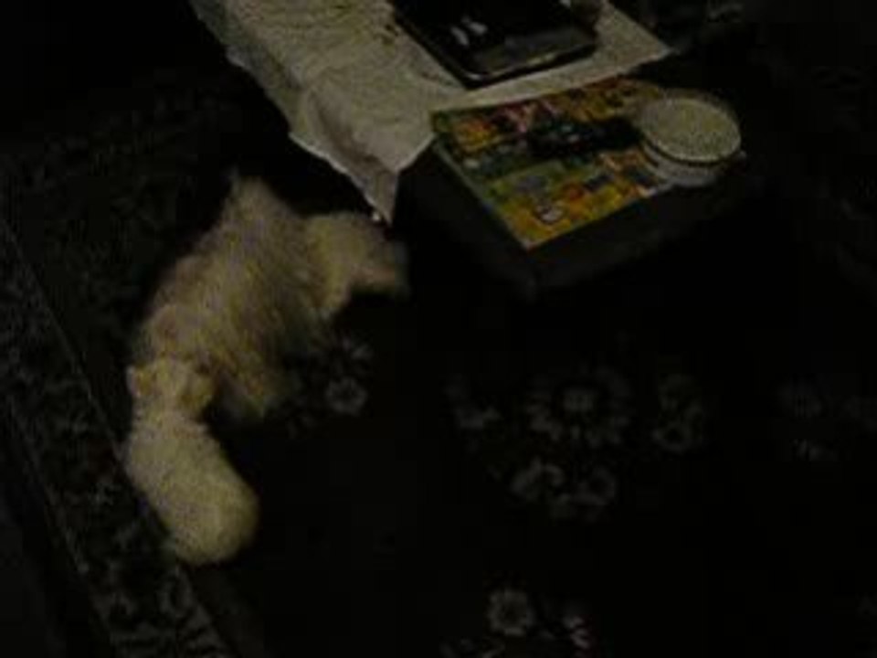 Diégo et Dylan jouent 3