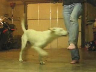 Montage don't stop me now