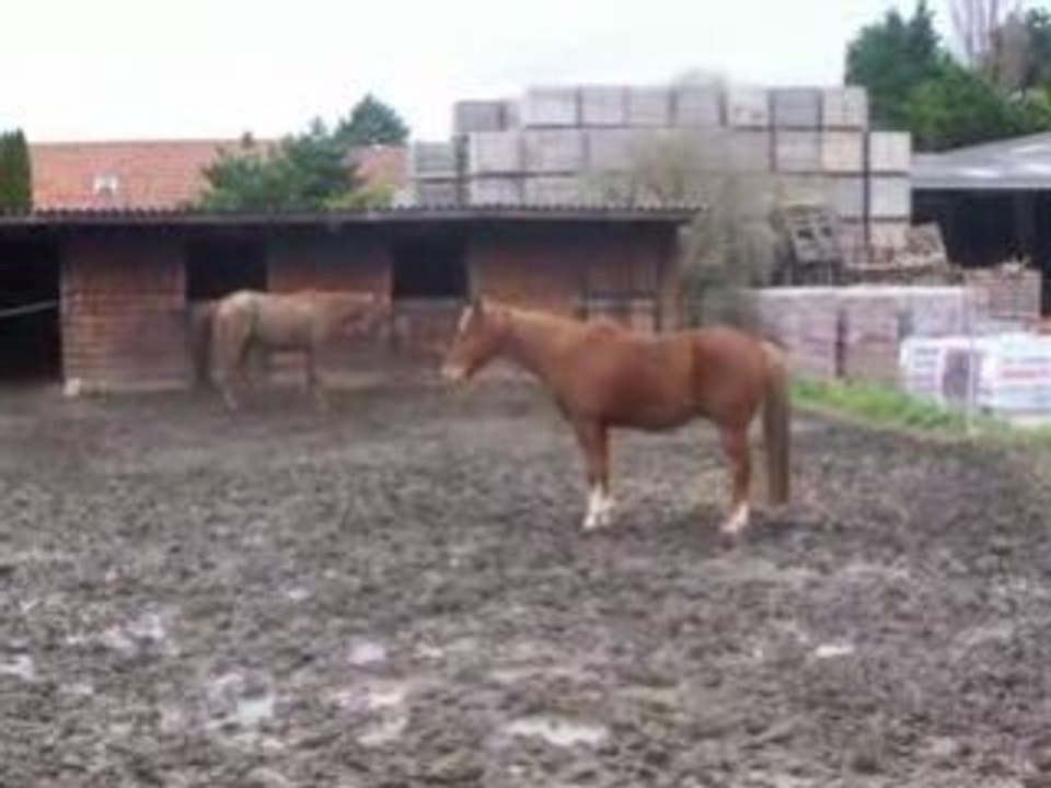 balade 15 novembre