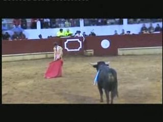 Saint-Sever 2008 : Espaliu meilleur geste taurin