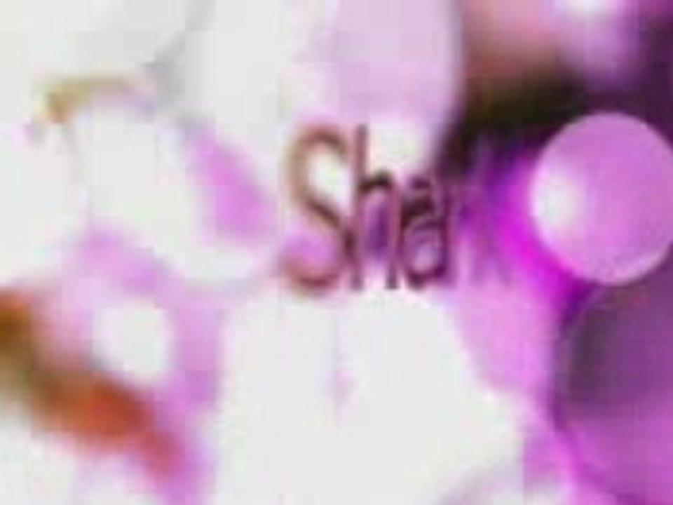Shark_loufdy