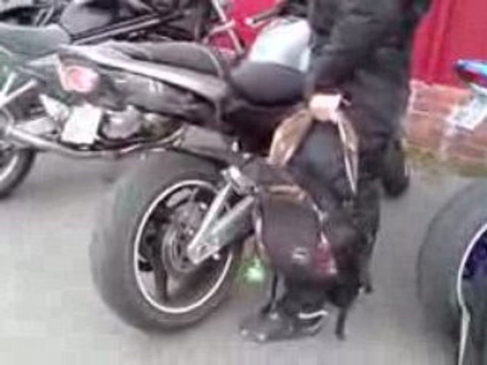 GSR DEVIL sans DB killer