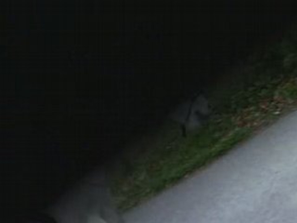 Balade a pieds et en cordelette