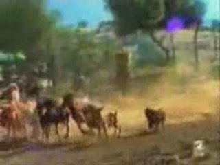 Pdae jara y sedal varias labores_0001