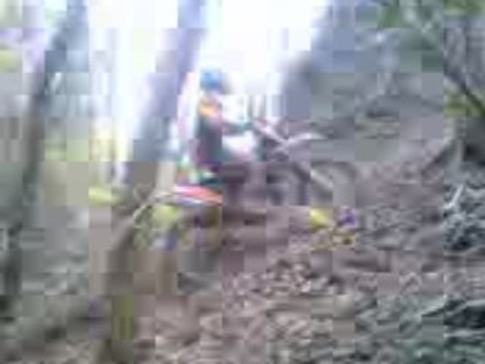 FED 11/2008