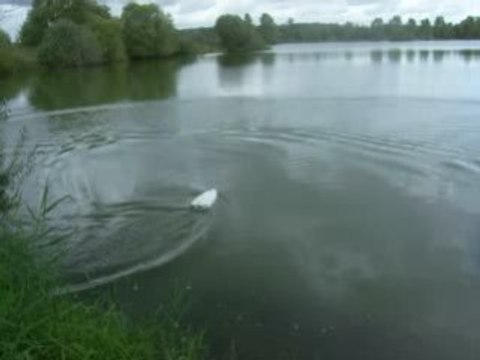 offshore rc en essais