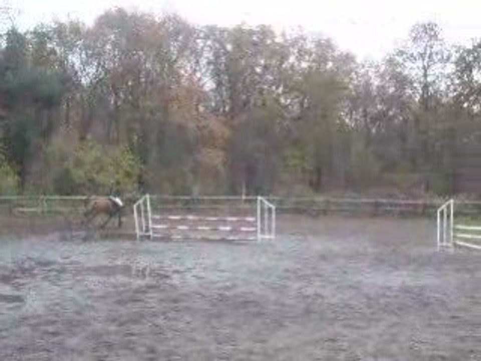 Herblay novembre 2008 club 1 il danse