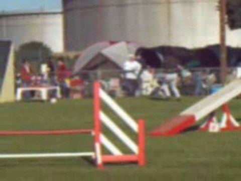 1er degre Brooklyn (suite)