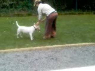 chupa en agility