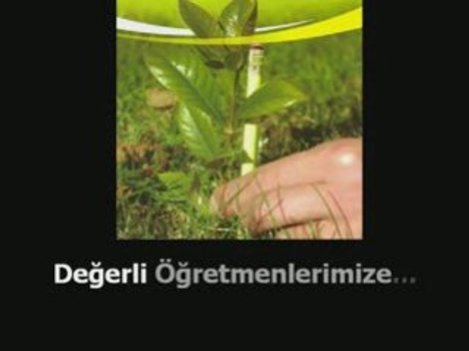 Ogretmenlerimize Ogretmenler Gunu Hatirasina