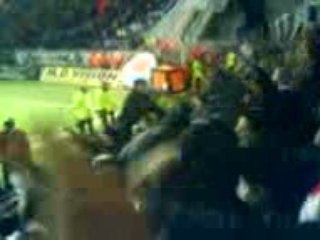 Le Havre - PSG -- Horto Magico