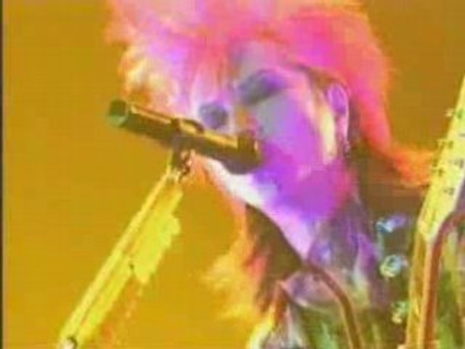 hide - pose