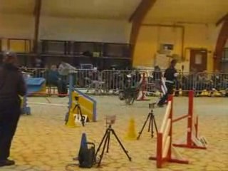 Concours Agility Compiegne - 16/11/08
