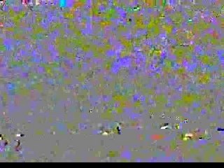 S.C.A.M. Best Home Based Business Free BMW Program ViSalus