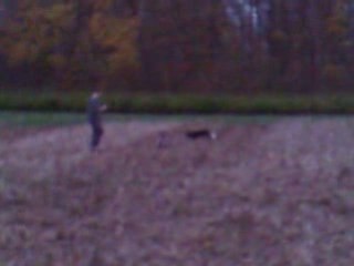 Training delta 161108