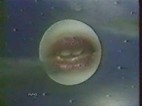 Gilles Floro - Diaman deben 1988