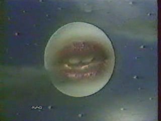 Gilles Floro - Diaman deben 1988