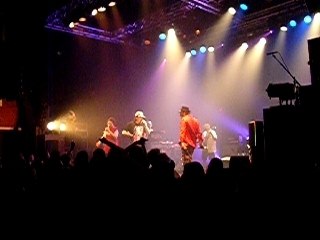 161108 - Concert des Svinkels - Vite fait mal fait
