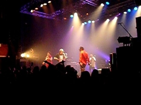 161108 - Concert des Svinkels - Vite fait mal fait