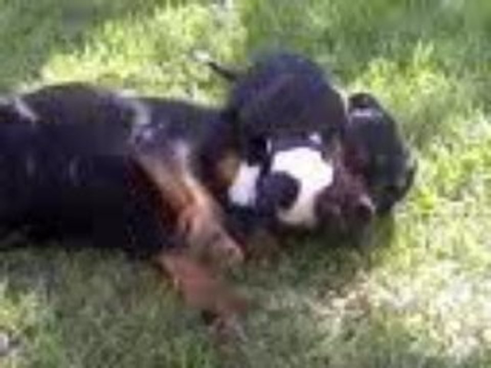 perla and ciara