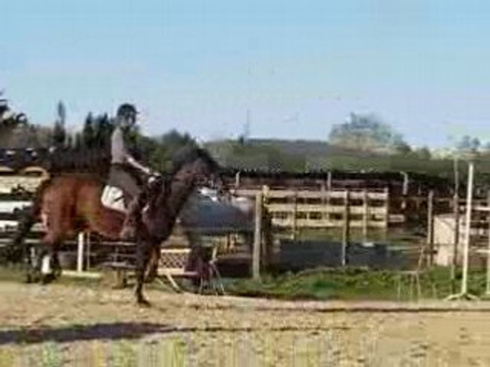 Claire et Nino : saut le 16 novembre 2008