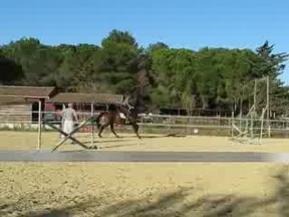 Claire et Nino : saut le 16 novembre 2008