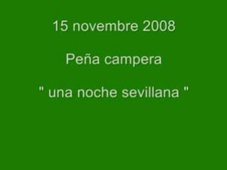 Una noche Sevillana con la Peña Campera - 15 novembre 2008