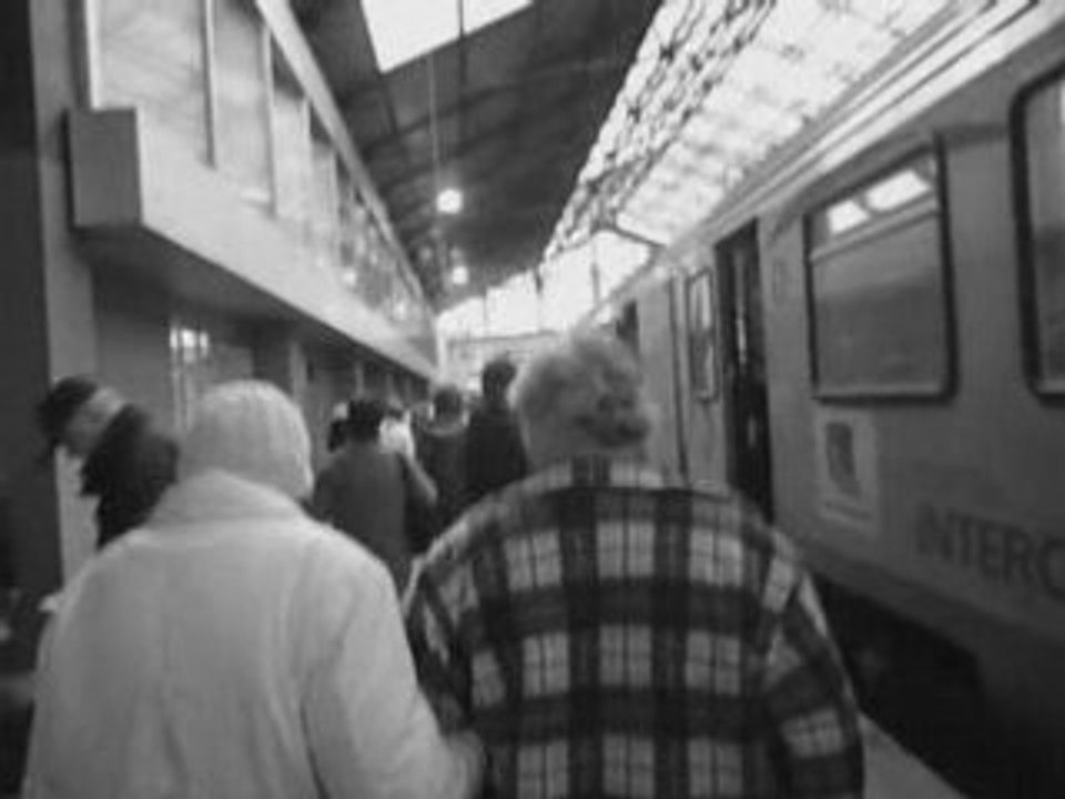 train de l amour