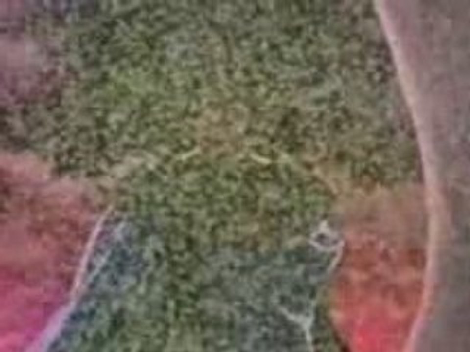 AMV Ah my goddess-Veteran of the Goddess wars